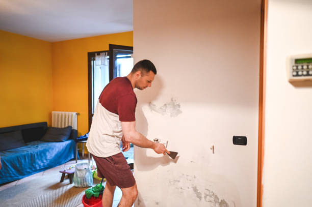 Best Basement Mold Remediation in Massanutten, VA